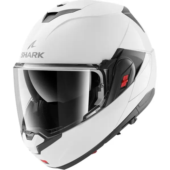 Shark OXO Blank Pearly White